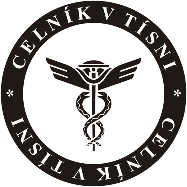 cvt_logo.jpg